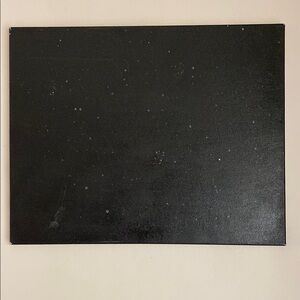 Black and White Speckled Canvas